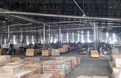 Vietnam striving to enhance transparency in wood sector