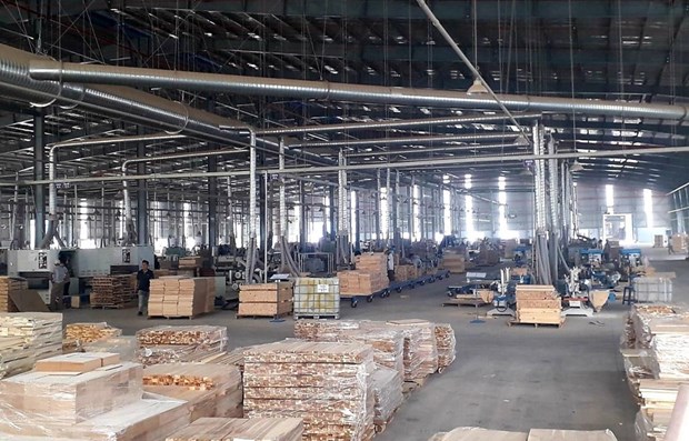 Vietnam striving to enhance transparency in wood sector hinh anh 1