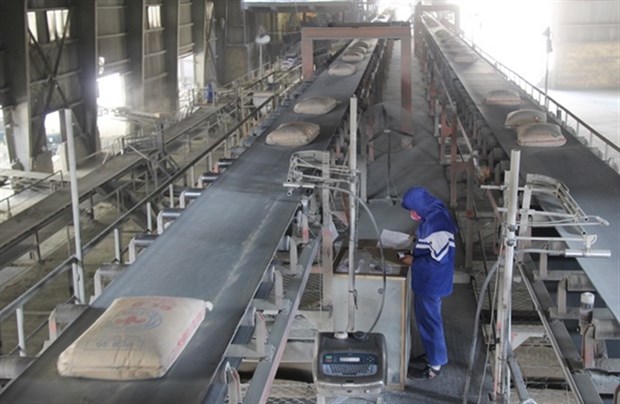 Cement exports soar by 50 percent hinh anh 1