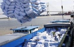 Vietnamese firms win bids for rice exports
