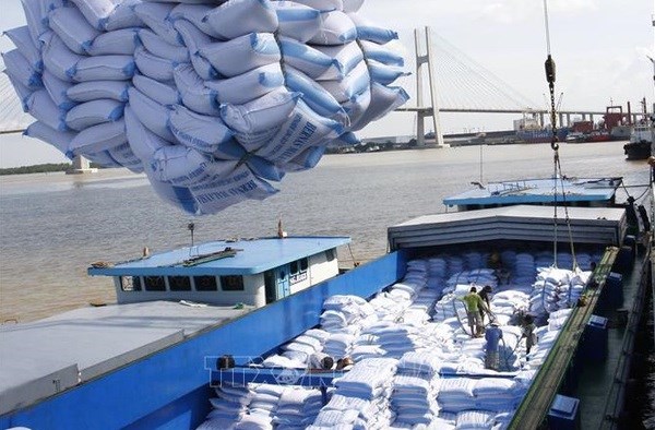 Vietnamese firms win bids for rice exports hinh anh 1