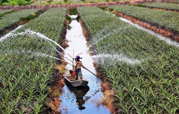 New policies drafted to encourage investment in agriculture hinh anh 1