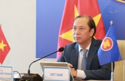 Vietnam attends ASEAN SOM, ExCom SEANWFZ’s meeting