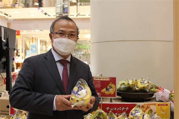 Vietnamese bananas gain a foothold in Japanese market hinh anh 1