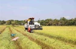 Australian businesses interested in agritech in Việt Nam