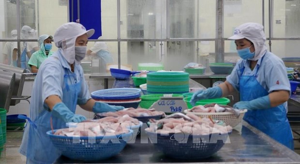 Vietnam’s aquatic product exports to China to grow this year: official hinh anh 1