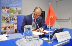 VN attends IAEA Board of Governors meeting