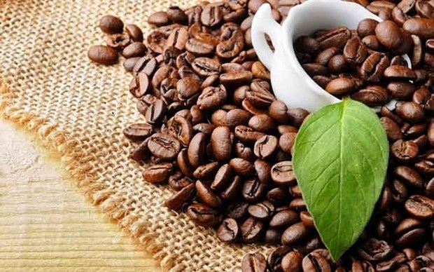 Coffee export turnover exceeds 2 billion USD in five months hinh anh 1