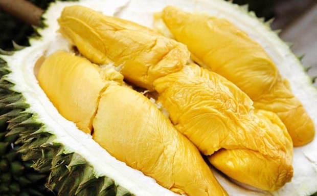 Vietnam expects to export durian to China via official channels this year hinh anh 1