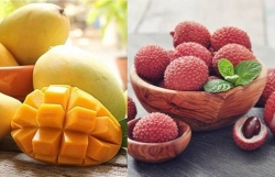Good signals for Vietnamese fruit exports