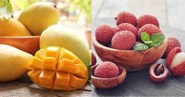 Good signals for Vietnamese fruit exports hinh anh 1