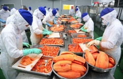 VN agriculture needs modern processing industry