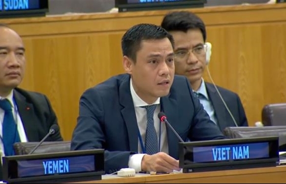 Việt Nam co-chairs consultation on UNGA draft resolution on epidemic response