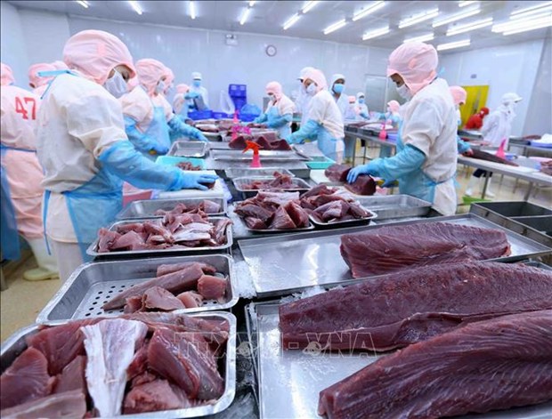 Tuna export to Canada soars hinh anh 1