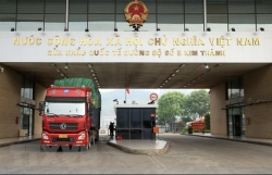 Firms advised to be cautious when exporting agricultural products via Lào Cai’s border gate
