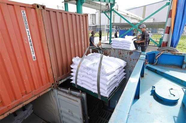 Vietnam to persify rice export markets hinh anh 1