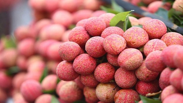 Vietnam’s first official-channel lychee shipment arrives in UK hinh anh 1