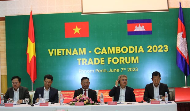 Vietnam steps up trade promotion in Cambodia hinh anh 1