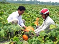 Agriculture sector targets US$33 billion from exports in 2017