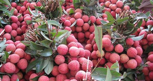 prices of luc ngan lychees hit record high