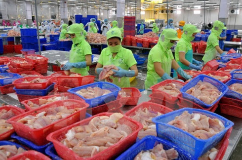 fisheries sector urged to clear barriers to tra fish