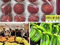 Vietnam’s export fruits &quot;expensive as gold&quot;
