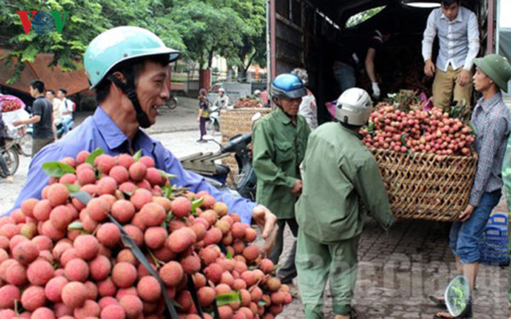 vietnams export fruits quotexpensive as goldquot
