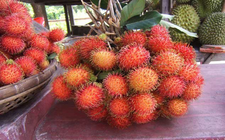 new zealand closer to allowing fresh rambutan imports
