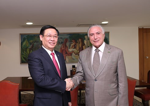 vietnam brazil cement multifaceted cooperation