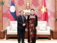 Top Vietnamese legislator wishes for stronger parliamentary ties with Laos