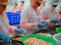 US-China trade war puts pressure on Vietnamese agricultural products
