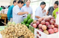 implementation of cptpp and evfta vietnamese agricultural products overcome technical barriers to dominate global market