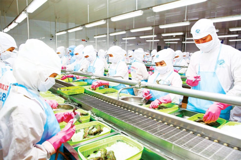 the dynamics of vietnams mampa market