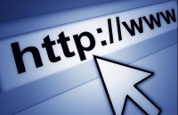 FIEs displeased with government demand to license internal websites