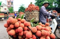 Fruit, vegetable exports enjoy swift recovery after COVID-19 downturn
