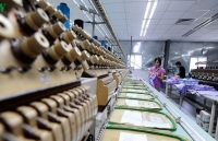 EVFTA enhances price competitiveness for Vietnamese goods