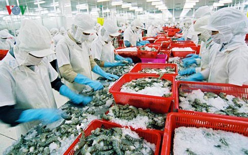 fishery sector aims for yellow card removal with us 10 billion export target in sight