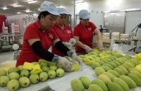 US increases Vietnamese fruit imports