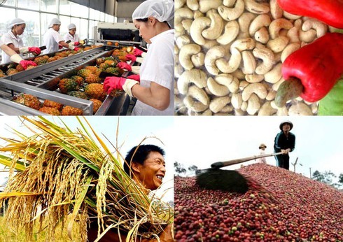 agricultural trade surplus climbs above us 5 billion mark