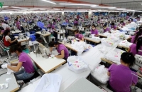 Apparel sector must solve material problem before EVFTA takes effect