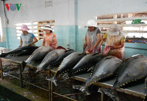 gloomy prospects ahead for tuna exports to major markets