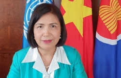 Vietnam treasures UNCTAD’s backing for developing countries’ sustainable recovery