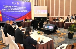 Việt Nam, EU review bilateral trade deal implementation