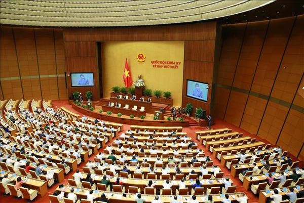 Lawmakers debate five-year public investment plan hinh anh 3