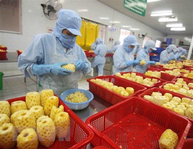 EVFTA fuels Vietnam’s imports from EU hinh anh 1