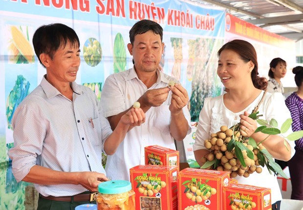 E-commerce expected to help Hung Yen longan reach out to foreign markets hinh anh 2
