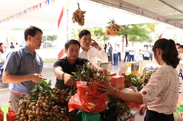 E-commerce expected to help Hung Yen longan reach out to foreign markets hinh anh 1