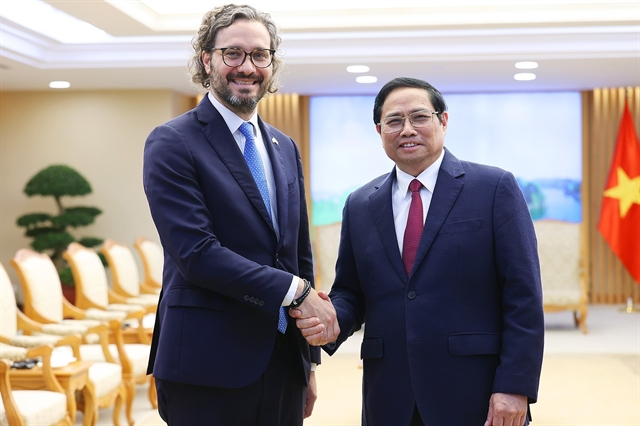 Việt Nam treasures comprehensive partnership with Argentina: PM