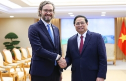 Việt Nam treasures comprehensive partnership with Argentina: PM