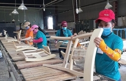 Vietnam"s wood exports decrease as inflation increases